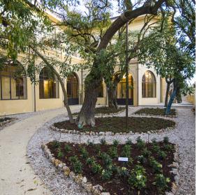 Veduta delle varie piante nel giardino di Villa Argentina