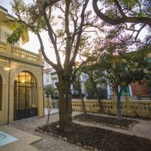 Veduta delle varie piante nel giardino di Villa Argentina